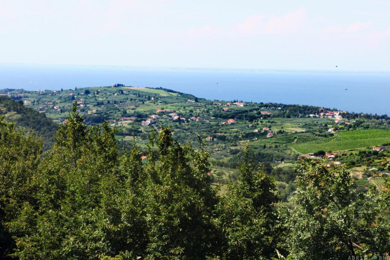 Garden Ville Izola Mira Екстериор снимка